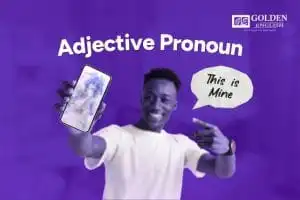 Adjective Pronoun