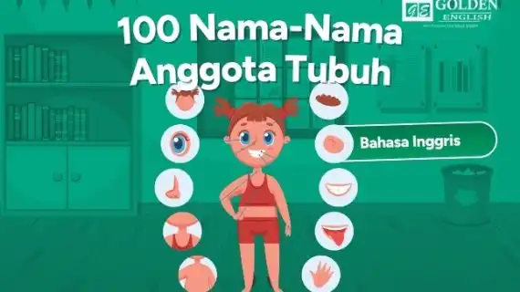 100 Nama-Nama Anggota Tubuh dalam Bahasa Inggris