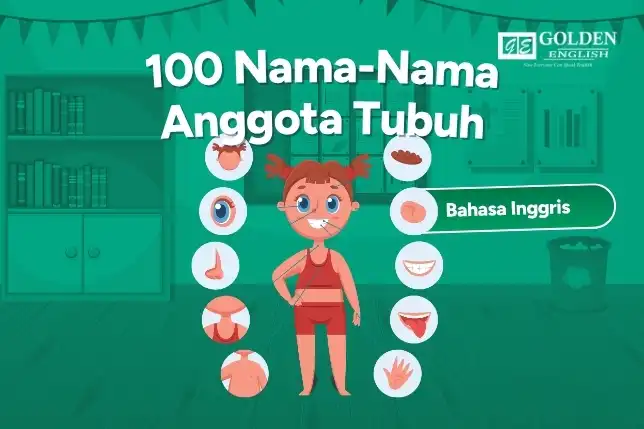 Nama-Nama Anggota Tubuh dalam Bahasa Inggris